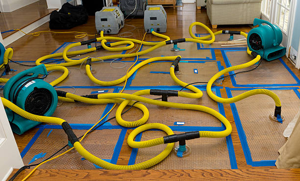 Professional Basement Flood Cleanup technician working in Garden Grove, CA